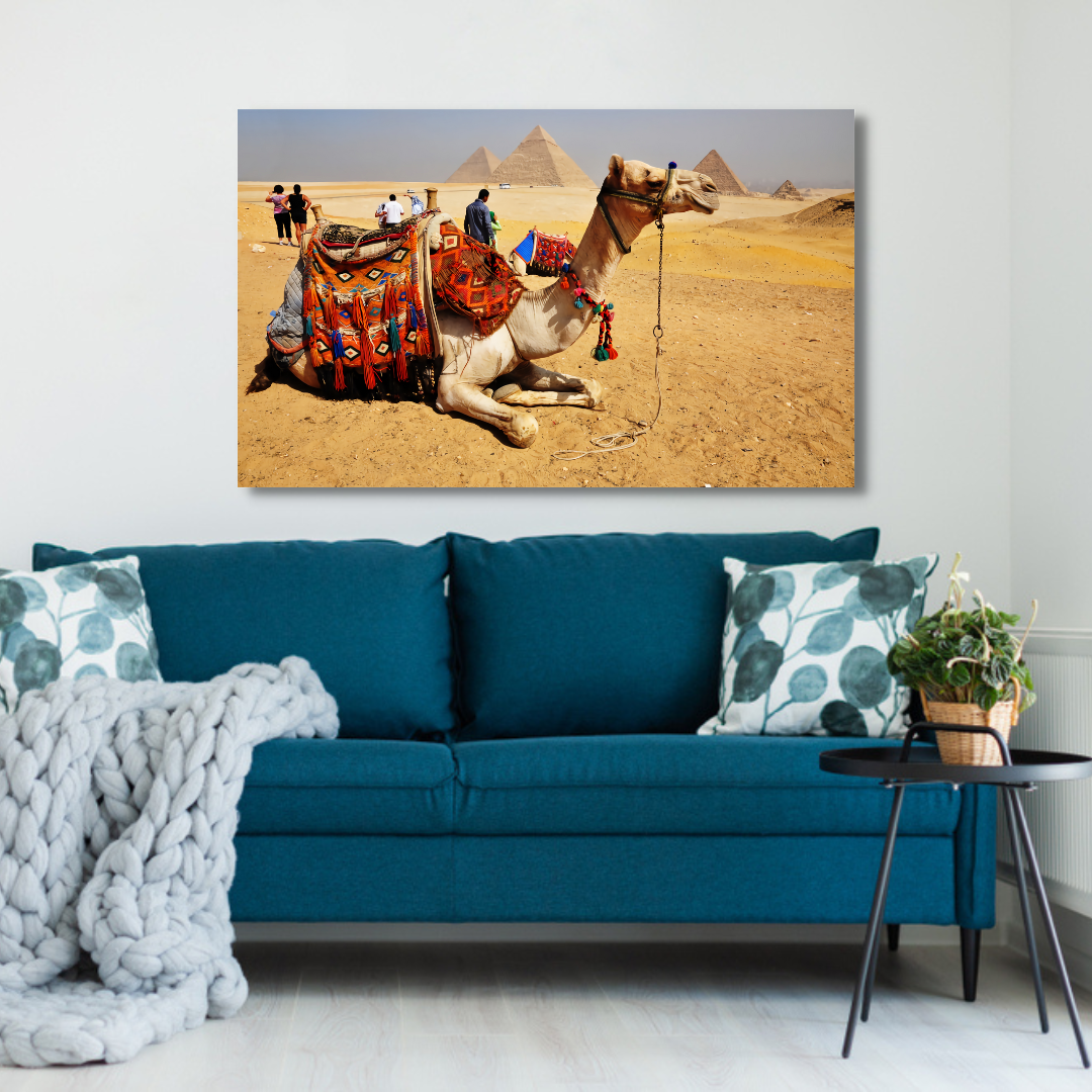 Camel With Pyaramid Canvas Print Wall Painting
