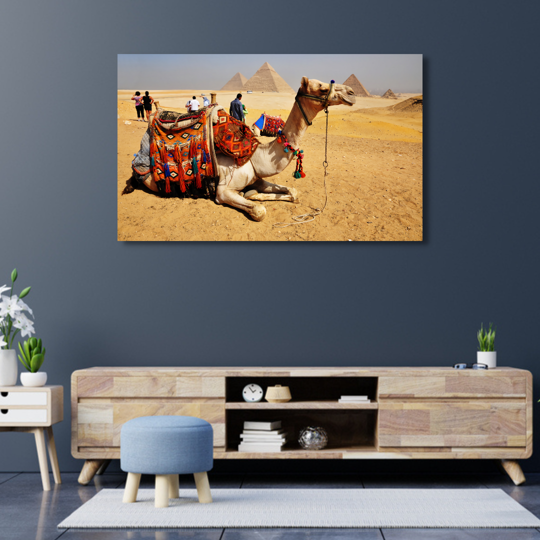 Camel With Pyaramid Canvas Print Wall Painting